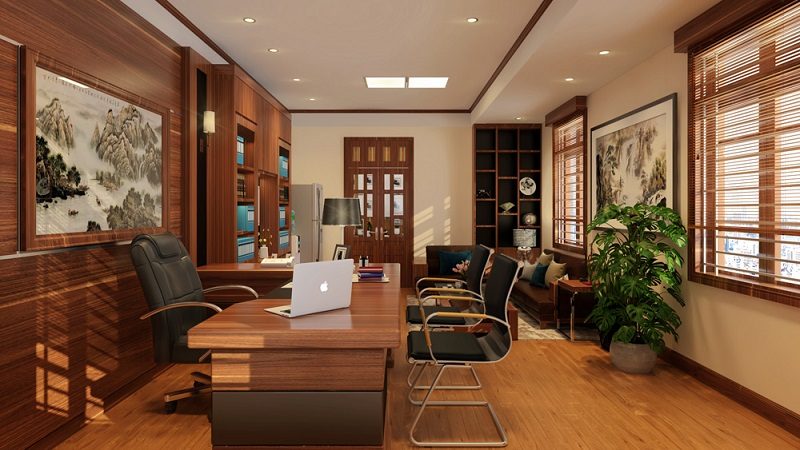 cây phong thủy phòng giám đốc