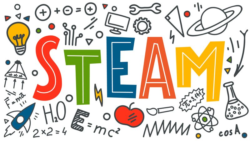 Steam stem khác nhau như nào