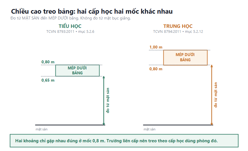 So sánh chiều cao treo bảng hai cấp học: tiểu học mép dưới bảng cách mặt sàn 0,65 đến 0,8 mét, trung học 0,8 đến 1,0 mét
