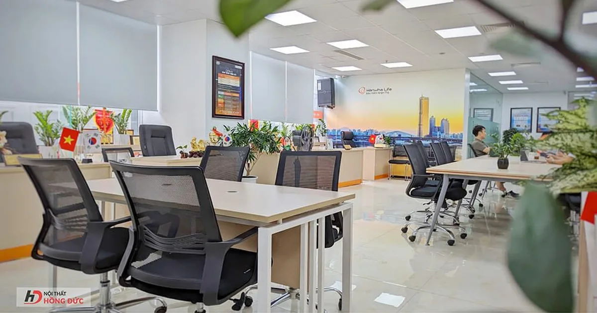 Dãy ghế xoay lưng lưới kê quanh cụm bàn làm việc trong văn phòng